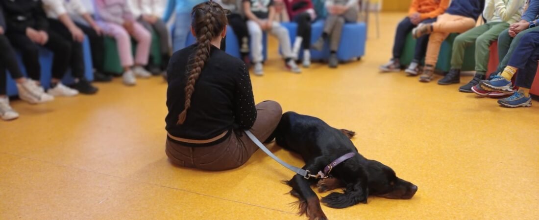 Pet-therapy – Interventi Assistiti con gli Animali
